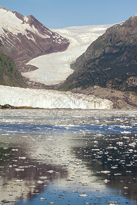 智利萨米恩托海峡边缘的阿玛利亚冰川贼鸥冰川贝尔纳多奥希图片