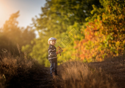 快乐的小男孩在美丽的秋天风景中户外玩耍图片
