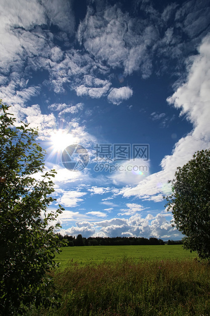 美丽的自然景观夏日图片