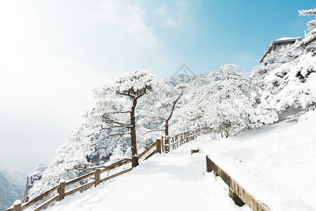 黄山雪景图片