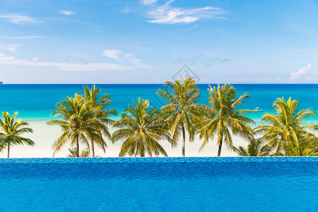 美丽的棕榈树在白沙热带海滩上图片