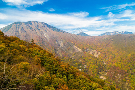 日本Tochigi图片