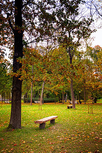 在爱沙尼亚塔林的Kadriorg公园休息的可爱地方图片