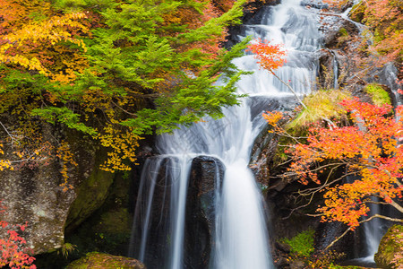 日本Nikko秋天彩图片