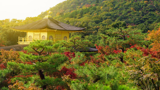 金阁寺金阁秋色日本京都图片