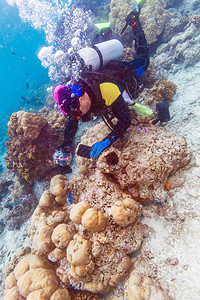 蓝色海壳和潜水器的海底景图片
