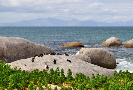 由花岗岩巨石之间的入口组成的避风海滩图片