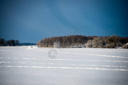 冬天清晨在田野里寒冬在风雪图片