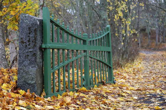 秋天在地上露开绿色大门和一小巷树叶和黄图片