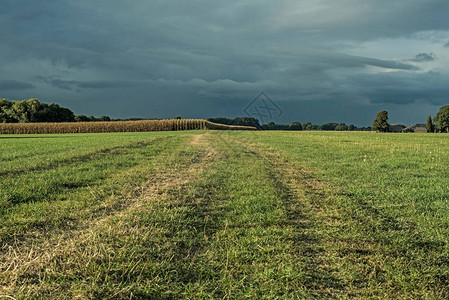 通往玉米地的小径有黑暗的天空的荷兰农田吉斯特伦阿赫特霍克海尔图片