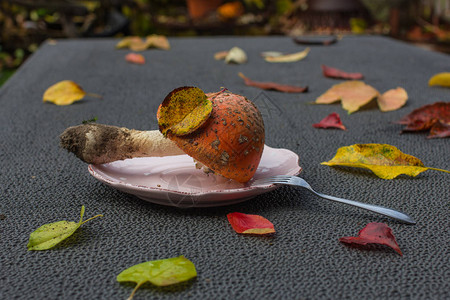 红烧鹅在秋天桌上用叉子的盘子背景