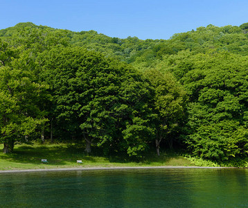 洞爷湖四岛之一的中岛图片