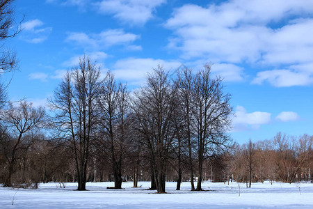 风景公园里早春的日子在大自然中落下和融化的雪图片