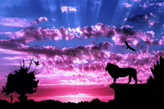 山丘老树鸟狮和紫云化日落图片
