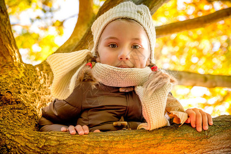 秋季爬树的小女孩图片