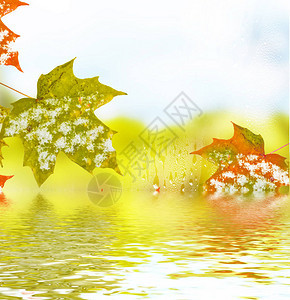 秋天的风景色彩鲜艳的树叶雪图片