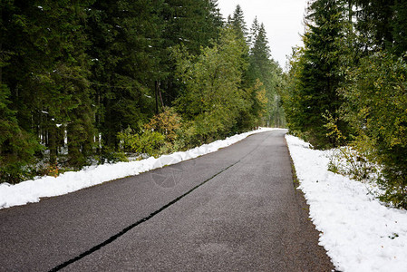 前面的道路冬天的乡村图片