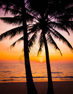 日落景观海滩日落图片
