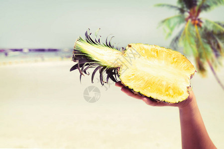 由妇女掌管的新鲜菠萝在热带海滩上暑假图片