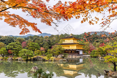 日本京都金阁寺金阁的秋季图片