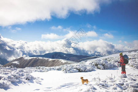 山间小道上遛狗的女孩山里的冬天图片
