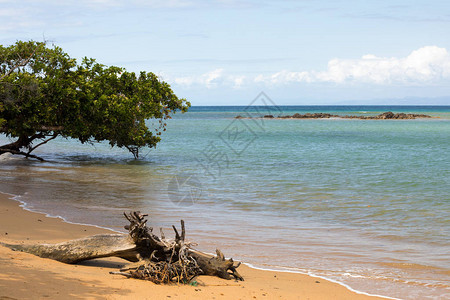 马达加斯马苏阿拉公园的美丽自然梦幻天堂海滩蓝天和清海野生图片