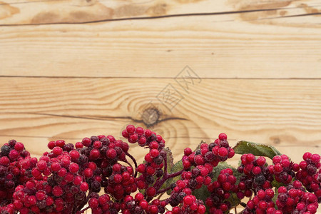 弗罗斯特用风雨木本底的红胡桃浆遮盖着红辣椒莓并抄写图片