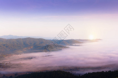 泰国清莱山谷上的海雾图片