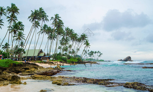 斯里兰卡有椰子棕榈树的美丽热带海滩美图片