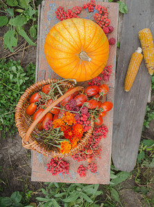 收集新鲜的橙色和红色炉灶蔬菜水果浆和鲜花生农产图片