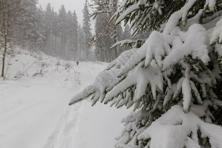 大雪纷飞的冬季风景森林中的旧木屋图片