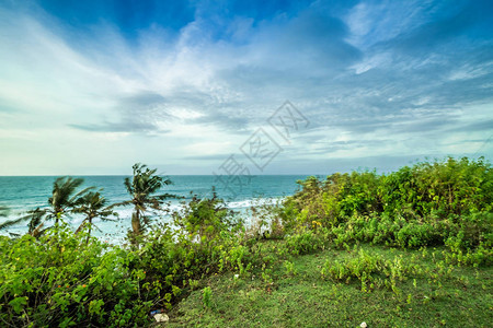 印度尼西亚巴厘岛巴兰甘海滩悬崖上的热带风景图片