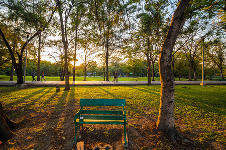 公园长椅位于绿色公园图片