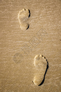沙滩上沙子里的脚步声背景图片
