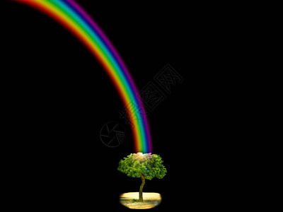 上帝保佑公园里的彩虹黑暗天空树图片