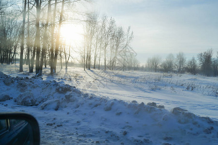 太阳光线穿过冬季森林树木阳光图片