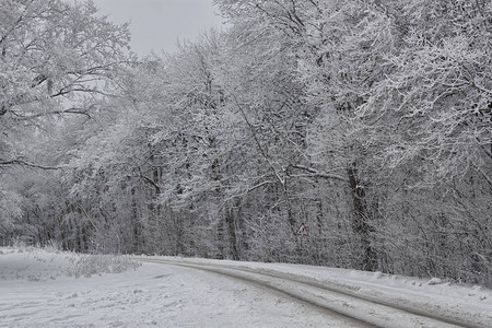 穿过冬季树林的公路每条路都满图片