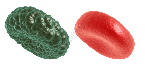 绿色疾病和红血球3D化为白色保图片
