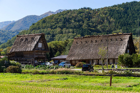 白川村的日本老木屋图片