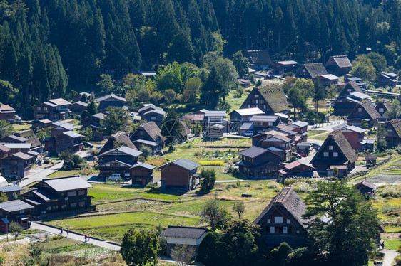 日本传统古村落白川乡图片