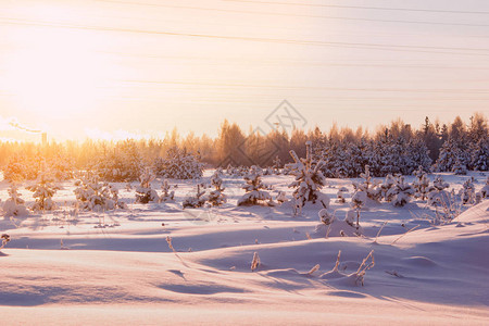 雪在灿烂的阳光下飘荡冬天的风景图片