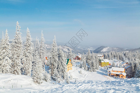 雪山树木和房屋图片