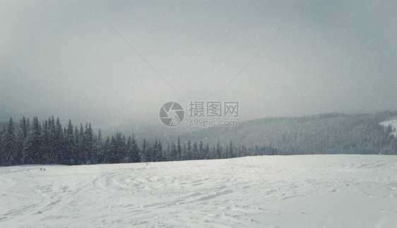 美丽的冬季风景有雪的冻树和冰图片