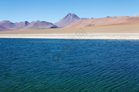 智利洛斯弗拉门戈斯保护区的SalardeTara和AguasCaliente景观该地区由两个盐滩组成图片