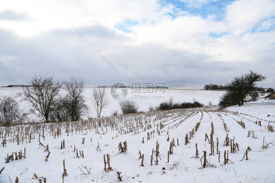 有田野和草地的冬季景观霜天图片