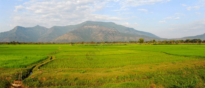 小溪流水老挝Campas背景