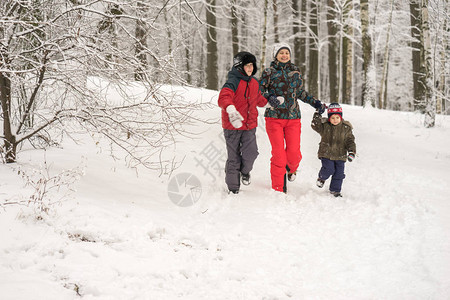 和两个儿子一起在冬林里跑步开图片