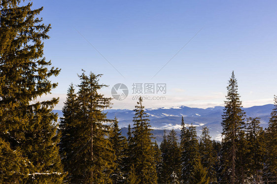 阿尔卑斯山冬季山林的梦幻般的冬季全景图片
