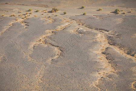 撒哈拉沙漠丘摩图片