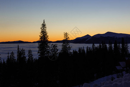 由阳光照耀的美丽的橙色夜晚风景Draatmaticwintry现场有雪树喀尔巴阡山乌克兰图片